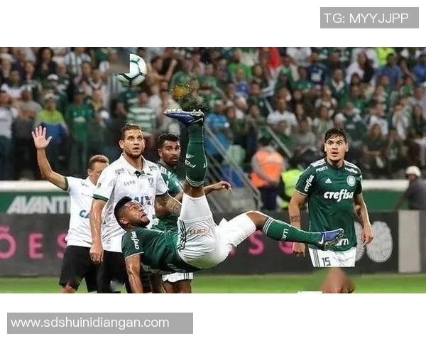 桑托斯与帕尔梅拉斯对决分析谁能在这场比赛中胜出